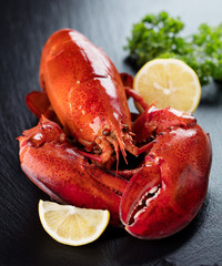 Red lobster with lemon and green on wooden background