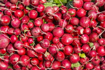 Background of ripe radish on the market