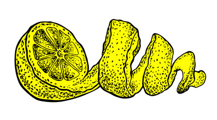 lemon. Vector hand drawn graphic illustration.