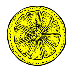 Half lemon. Vector hand drawn graphic illustration.
