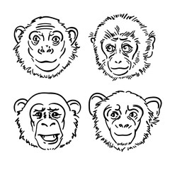 A set of sketches monkey Vector illustration