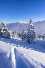 Tiefschnee im Hochzillertal