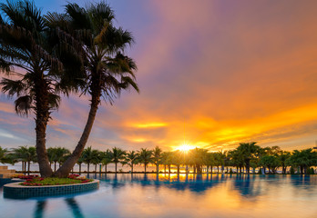 Beautiful sunset over the sea with a view at palms on the white beach