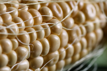 corn cob young macro