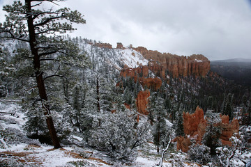 Zionn canyon in the winter - 11