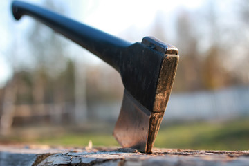 axe in wood outdoor