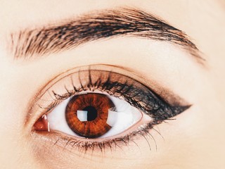 Naklejka premium Woman Eye With Makeup And Long Eyelashes