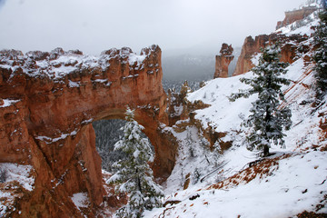 Bryce canyon in the winter - 7