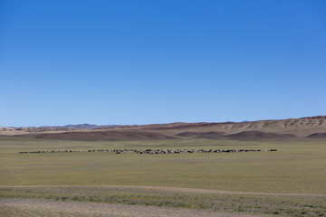 Fototapeta premium Die Weite der Wüste Gobi