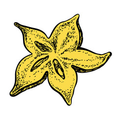 Starfruit. Vector hand drawn illustration. Sketchy style.