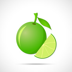 Lime fruit with leaf and sliced lobule. Fruit icon.