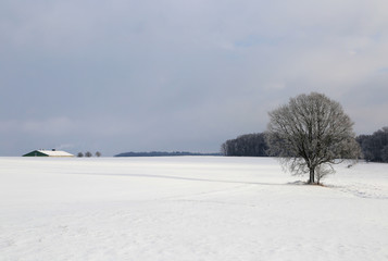 Fototapeta na wymiar Winter landscape with fields and meadows / Frosty Day