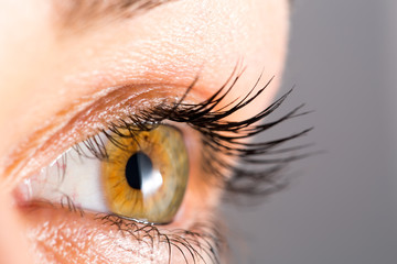 woman eye with long eyelashes
