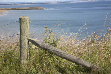Wooden Post and Beach at St Andrews; Scotland