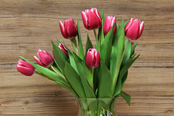 Red tulips