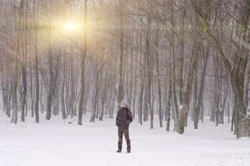 Fototapeta na wymiar Beautiful winter day, pine tree forest,man standing alone and watching nature. it's snowing.