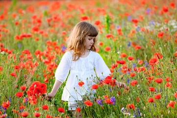 Naklejka na ściany i meble teen girl among a field of poppies
