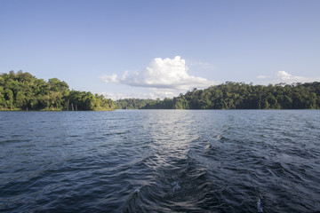 Fototapeta na wymiar View of man-made lake of Royal Belum with nice green scenery and stumped wood.