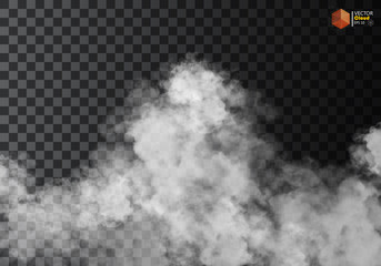 Fog or smoke isolated transparent special effect. White vector cloudiness, mist or smog background. Vector illustration