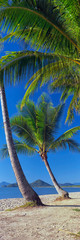 Tropical North Queensland beaches in Australia