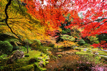 Autumn garden at Nanzen-ji, Kyoto