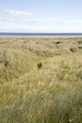 Dune and Beach on Lindisfarne; Holy Island