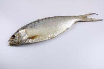 Raw salted fish isolated on white