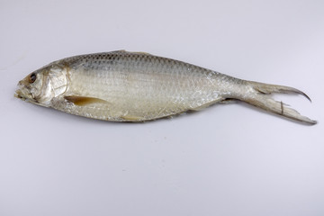 Raw salted fish isolated on white