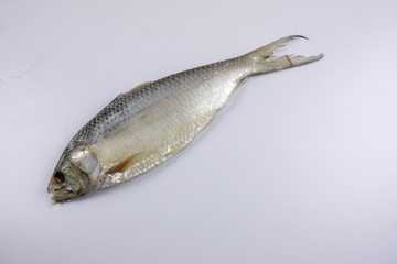 Raw salted fish isolated on white