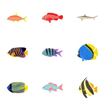 Fish icons set, cartoon style