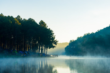 Pang ung park and Morning in forest