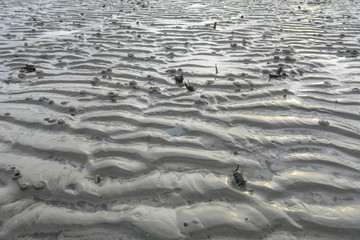 Sand pattern of a beach as background.