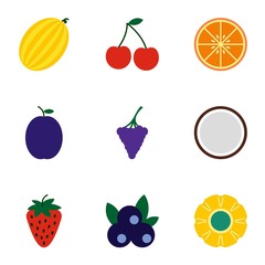 Types of fruit icons set, flat style