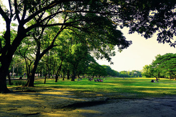 Wachirabenchathat Park or State Railway Public Park is a name of public park in Chatuchak district, Bangkok, Thailand. vintage style