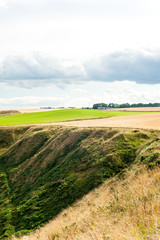 Obraz premium Golden scottish wheat fields and ravines in Dunnottar. Panoramic