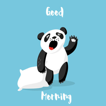 Cute panda bear with pillow wakes up. Good morning card. Vector illustration.