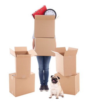 Moving Day Concept - Woman Holding Brown Cardboard Boxes And Dog