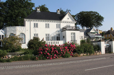Wooden house in the countryside on nature