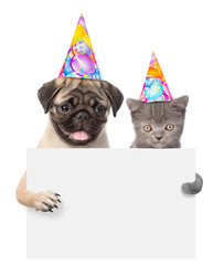 Cat and dog in birthday hats peeking from behind empty board. isolated on white 
