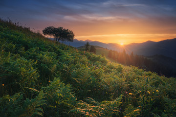 Ukraine. Carpathians. Dzembronya. Sunset at mount Kosarische