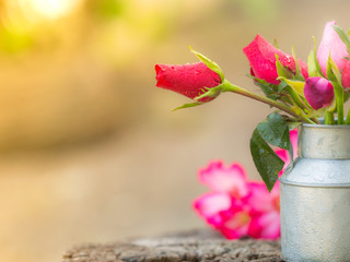 Roses in water bucket