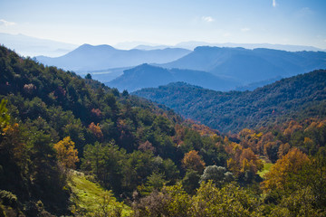 Mountains and autumn forest with oaks and pines between Osona an llucanes.