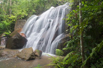 Deep jungle waterfall in Malaysia.