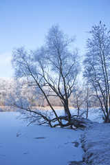 zugefrorener Waldsee