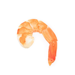 Boiled shrimp isolated on white background