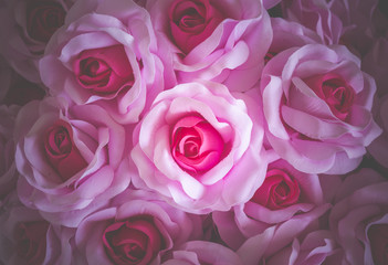 rose flower background for Valentine's Day