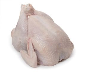Fresh chicken isolated on a white background. Close up.