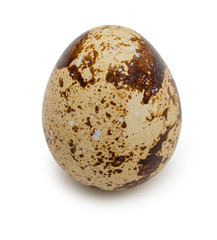 Raw quail egg with spotted surface isolated on a white backgroun