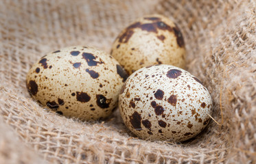 Set of three raw quail eggs with spotted surface on a sackcloth.