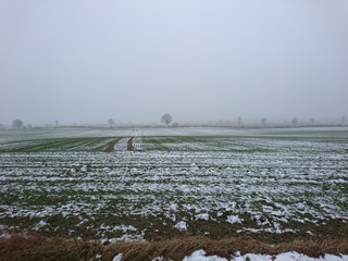 Feld im Winter